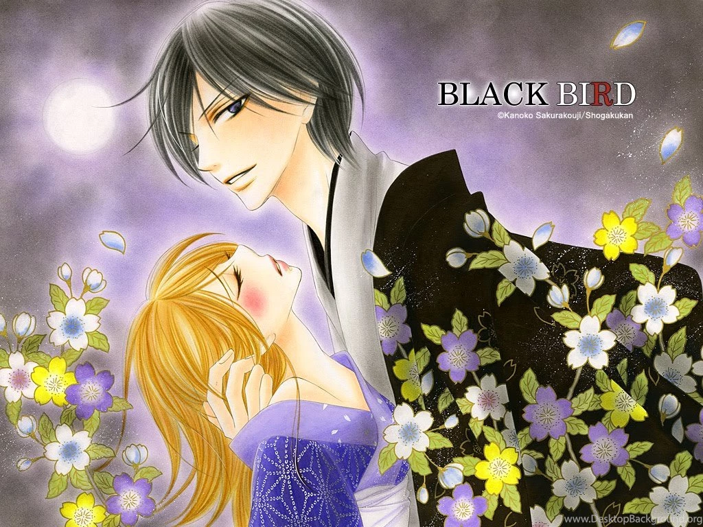 Wallpapers Black Bird ブラックバード Wallpapers (34161990 ...