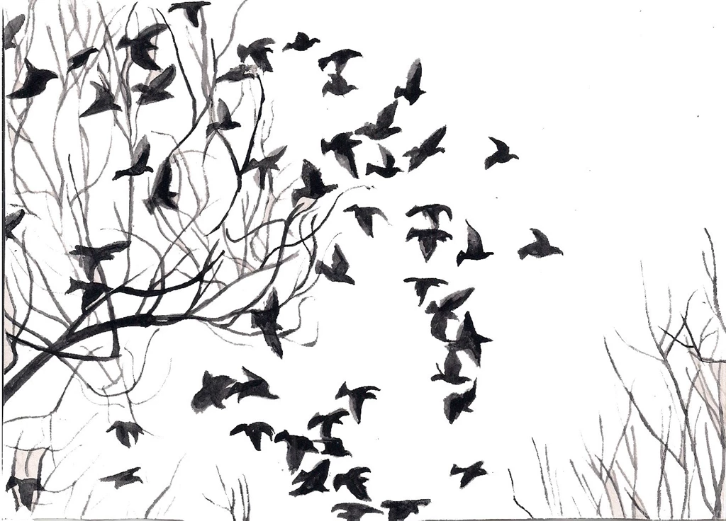 Black And White Birds Black Birds Are Dark Thoughts White Birds ...