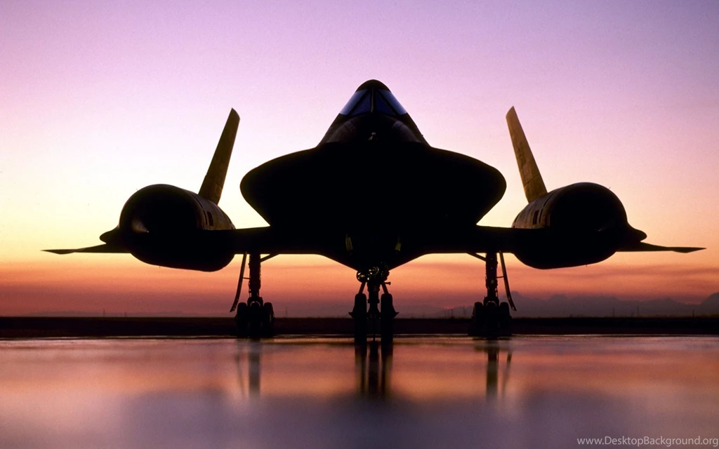 Blackbird Wallpapers