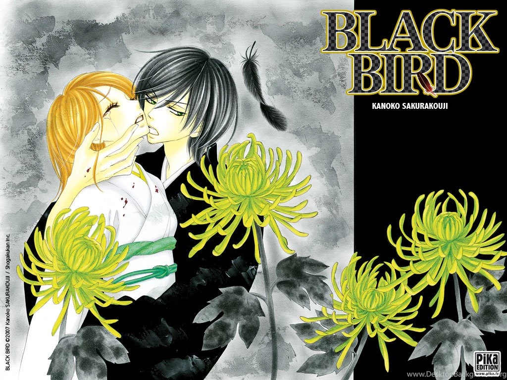 Wallpapers Black Bird ブラックバード Wallpapers (34161998 ...