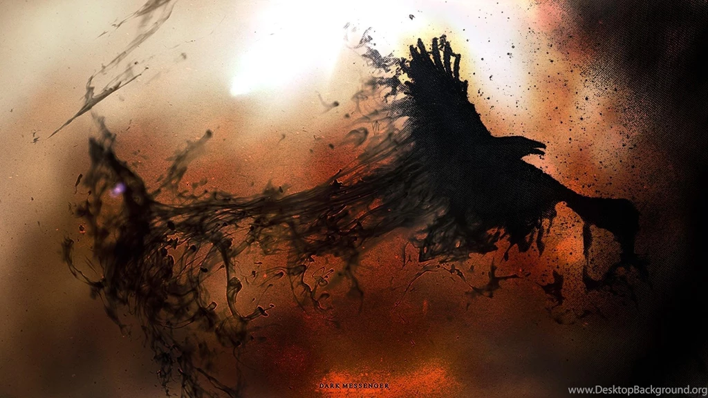 Black Bird Wallpapers