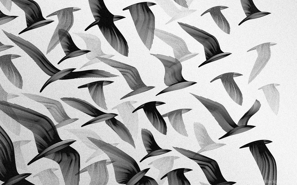 Black And White Birds Tumblr Backgrounds Wallpapers With Black ...
