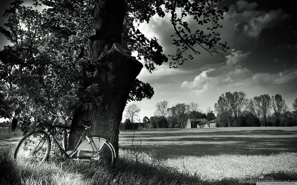 Bike HD Desktop Wallpapers : Widescreen : High Definition ...