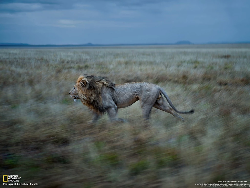 Photography Desktop Wallpapers National Geographic Magazine