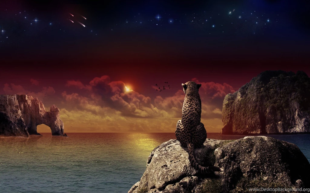 Download The Cheetah Fantasy Wallpaper, Cheetah Fantasy iPhone ...