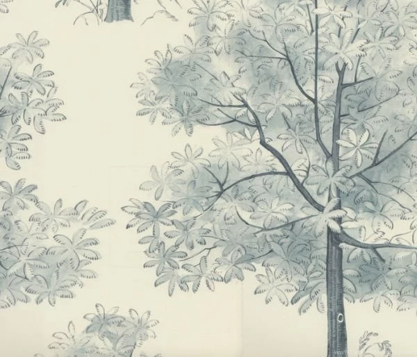 Designers Guild   Rosa Chinensis   Designers Guild Arboretum ...