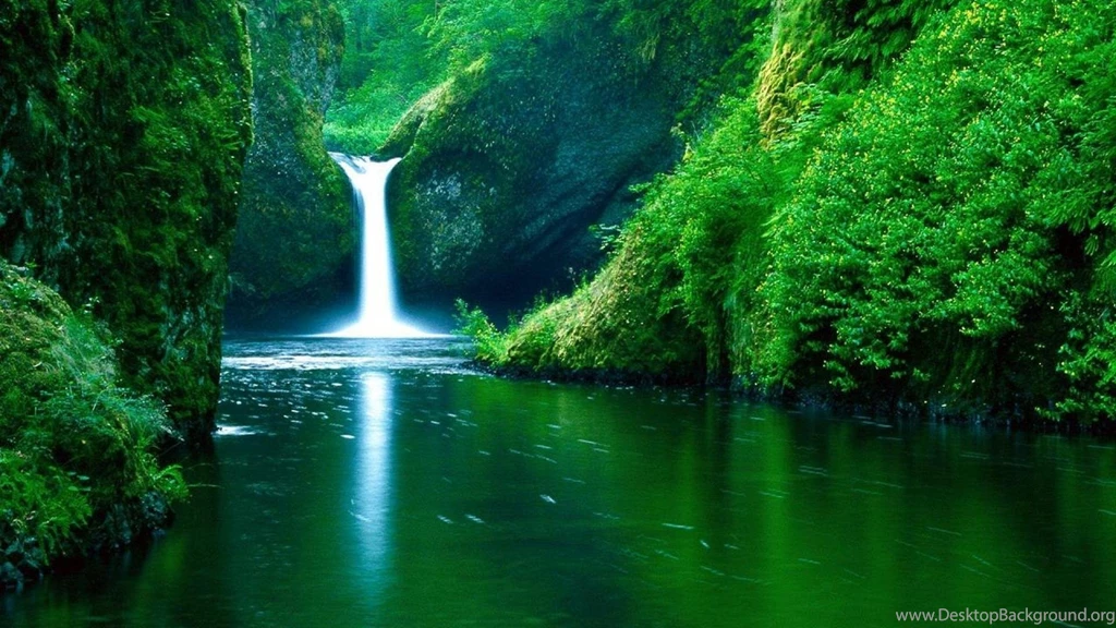 Punch Bowl Falls Amazing Green Forest HD Wallpapers Wallpapers ...