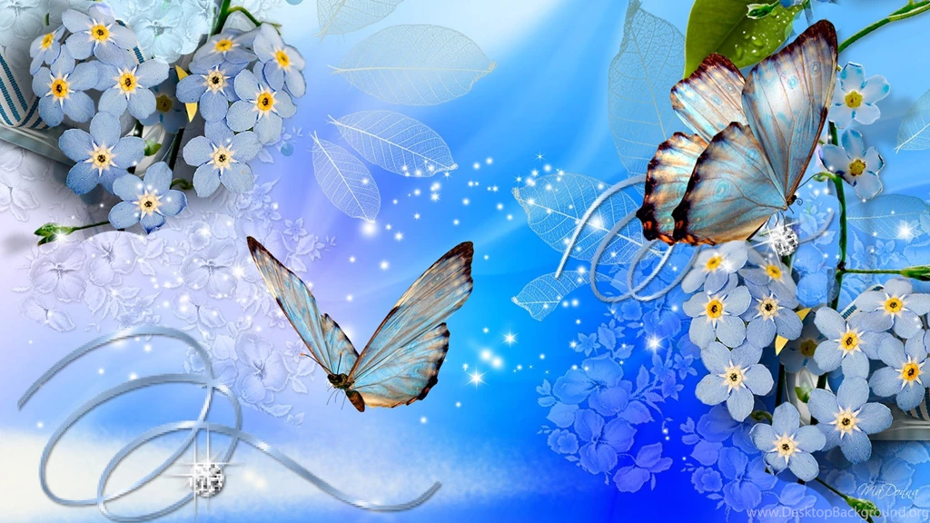 Blue flower full screen image hd desktop wallpaper for backgrounds ...