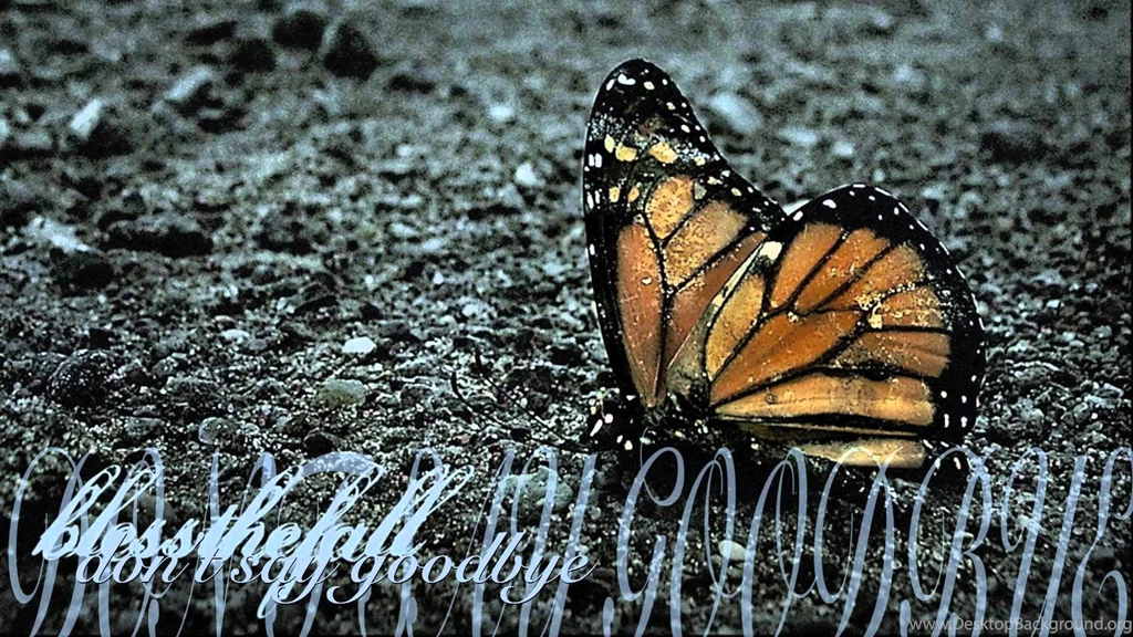 BLESSTHEFALL Metalcore Screamo Hardcore Poster Mood Butterfly ...