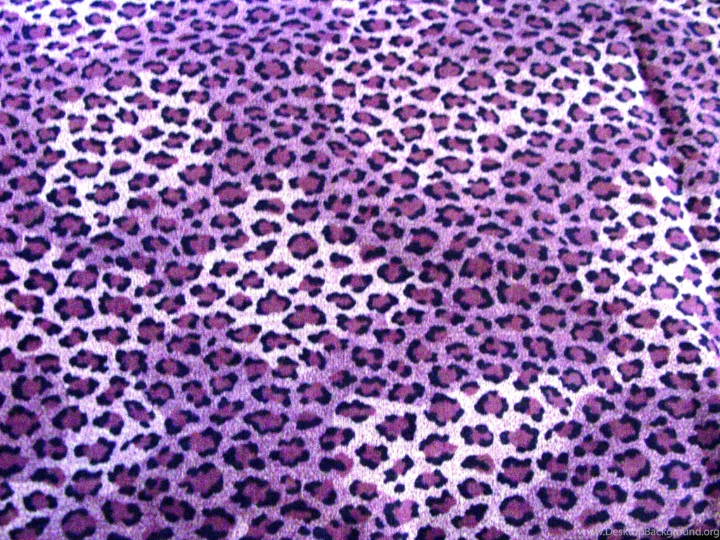 Cheetah Print On Pinterest