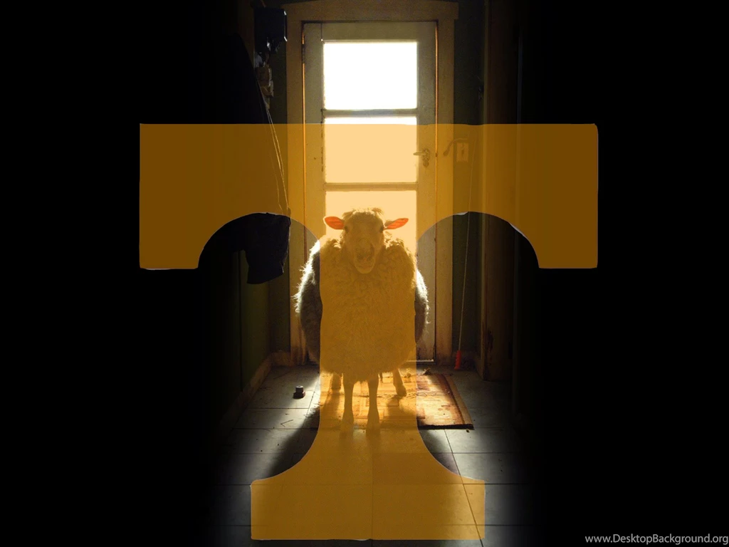 Tennessee Vols HD Wallpapers » Great Wallpapers HD