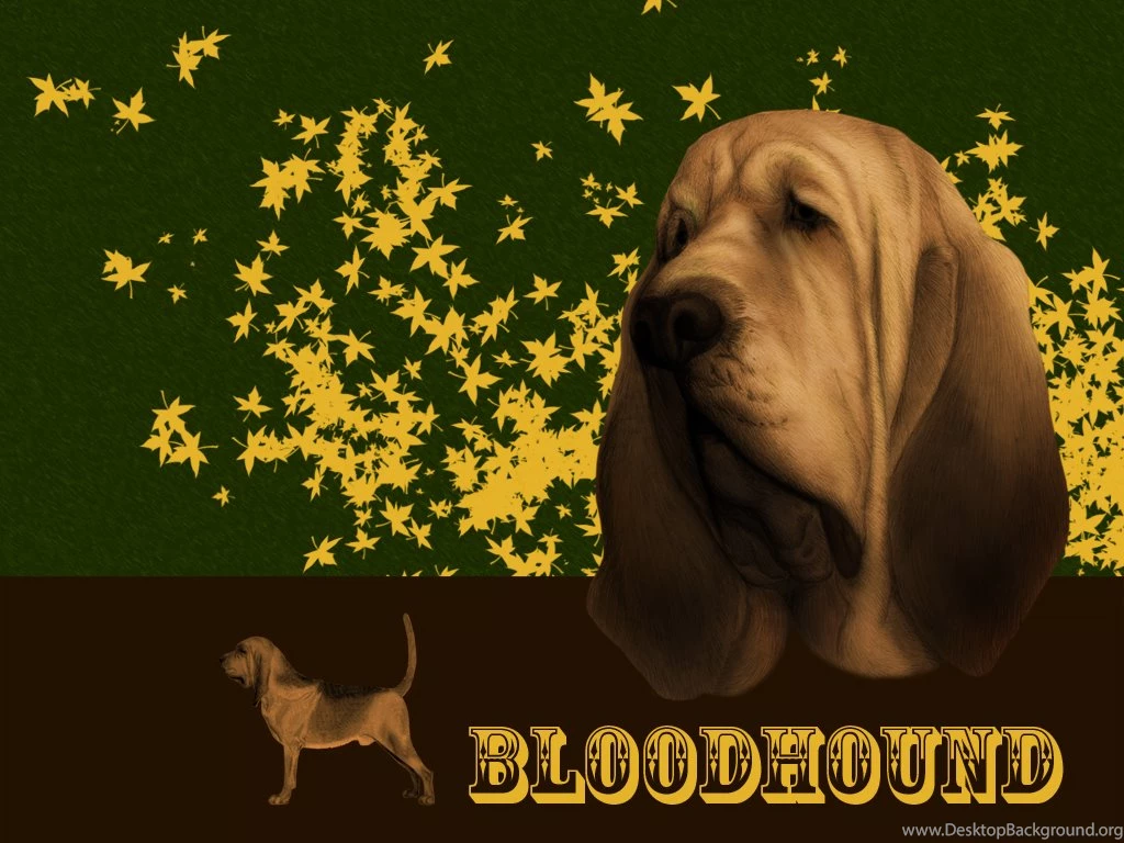 Dog Breed Resource Dog Breed Information Dog Breed Listings Dog ...