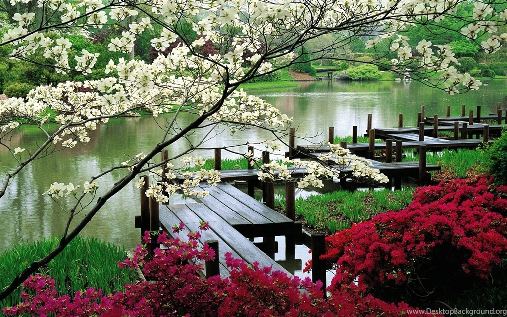 Japanese Garden Autumn Trees High Definition Wallpapers For Desktop ...