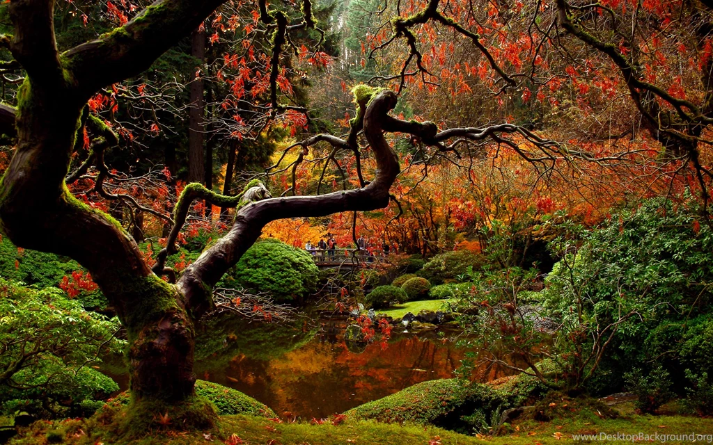 Gardens Wallpaper: Autumn Japanese Garden Desktop Backgrounds ...