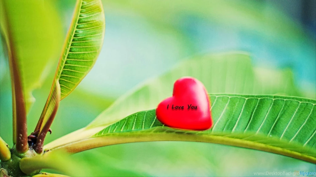 Cute Wallpapers For Facebookcute Doll Wallpapers For Facebook Full ...