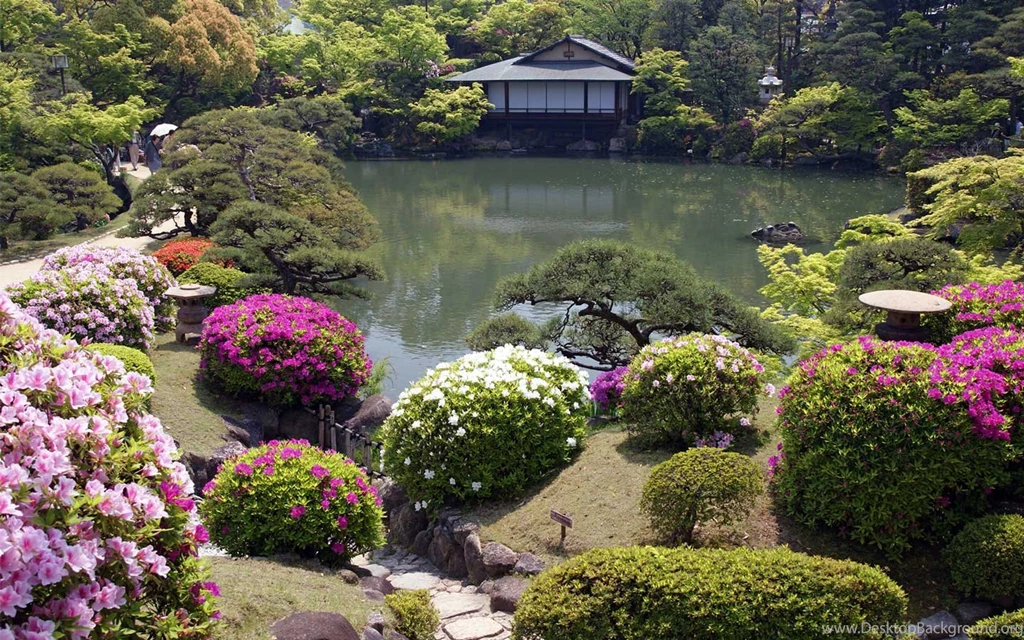 Download Japanese Garden Wallpapers Desktop Backgrounds