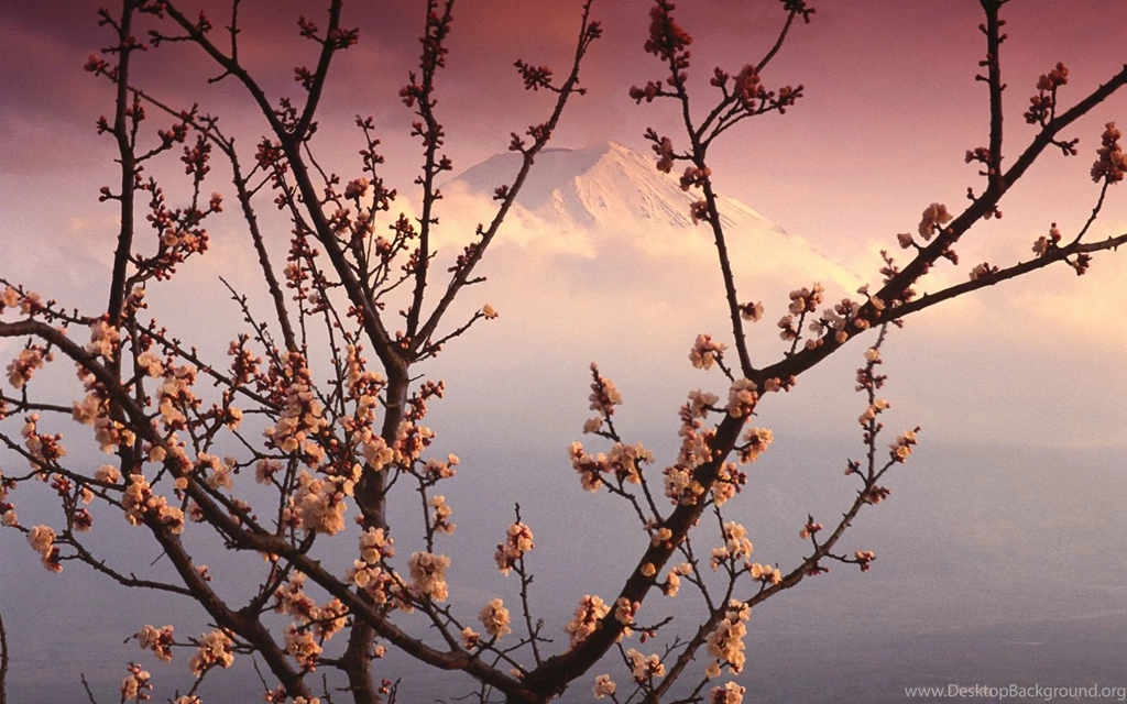 Japanese Desktop Backgrounds Wallpapers Cave