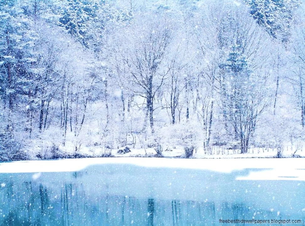 Winter Scenes Desktop Backgrounds Wallpapers