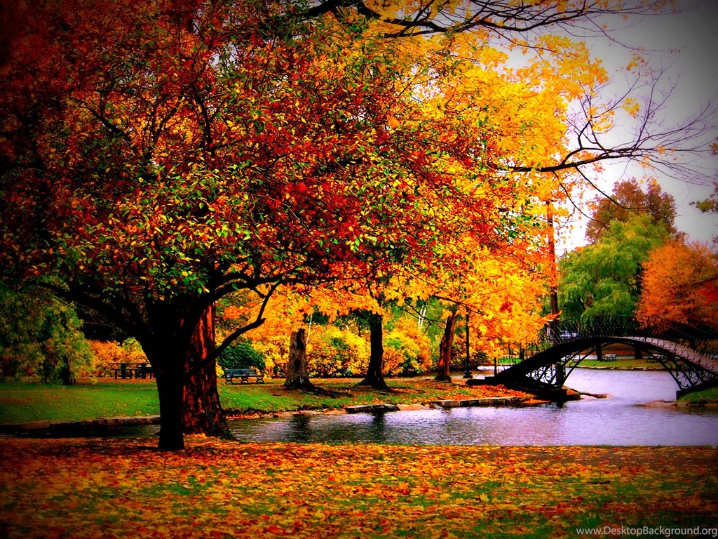 Fall Season (