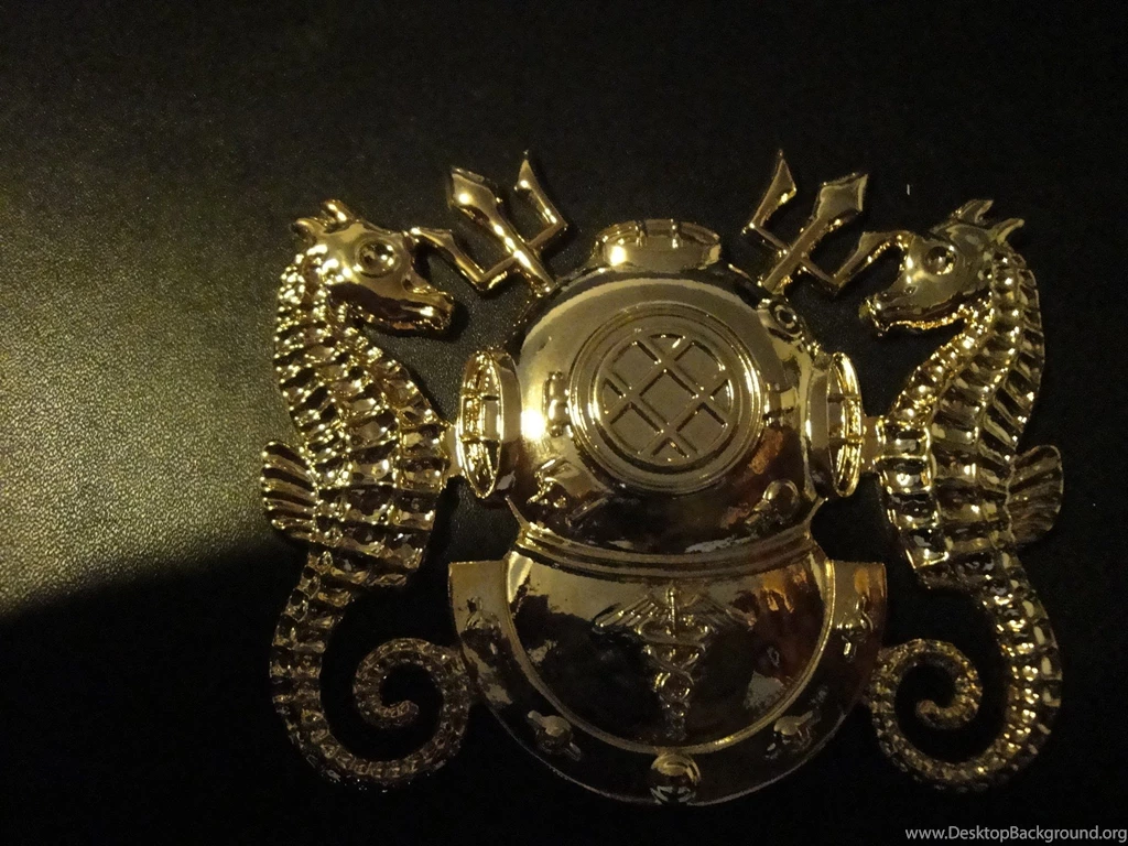 Index Of /mygalleryimages/EOD Diver