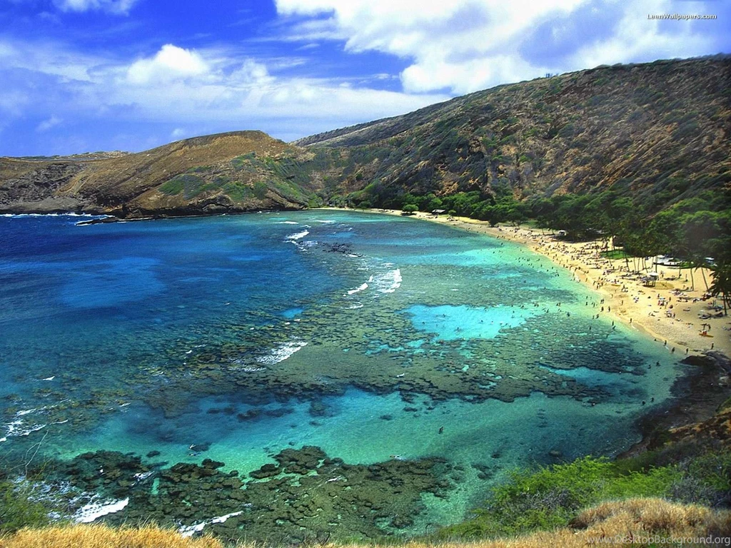 Bird_eye_view_of_beach_and_coral_reefs normal.jpg