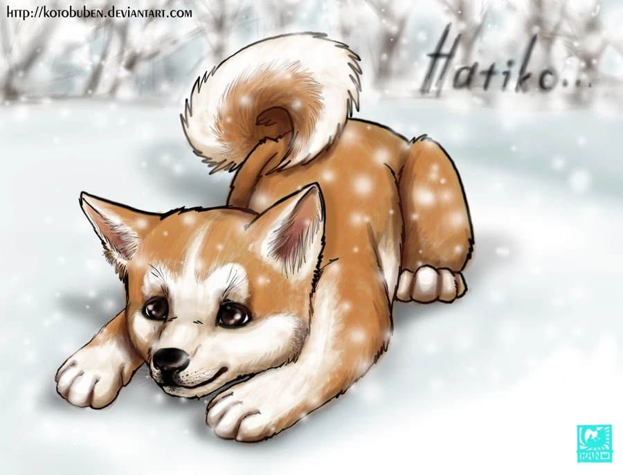Hachiko Favourites By Mintythewolf On DeviantArt