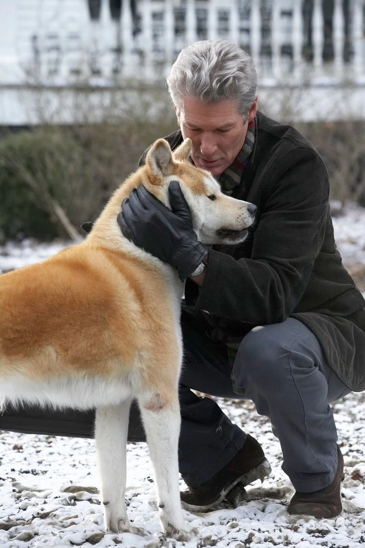 Hachi On Pinterest
