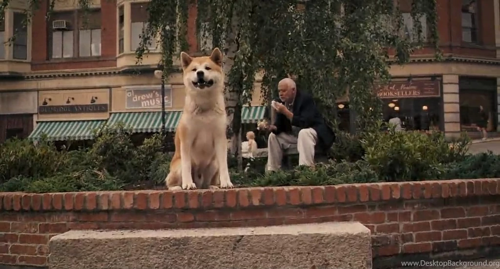 HACHI 約束の犬 ( 映画レビュー ) シネマを感じて‥ Yahoo!ブログ