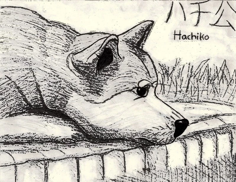 Hachiko By NiegelvonWolf On DeviantArt