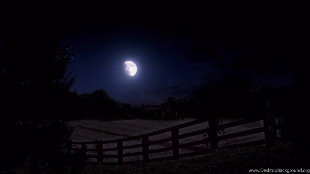 Moon Backgrounds : Desktop And Mobile Wallpapers : Wallippo