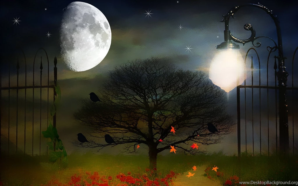 Night Moon Backgrounds Style HD Wallpapers