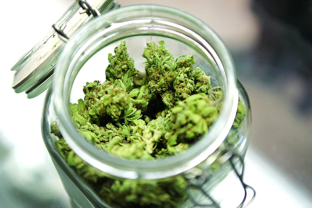 Marijuana 420 Weed Mary Jane Drugs (26) Wallpapers