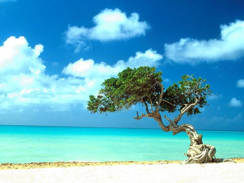 Fantastic Cool Wallpapers