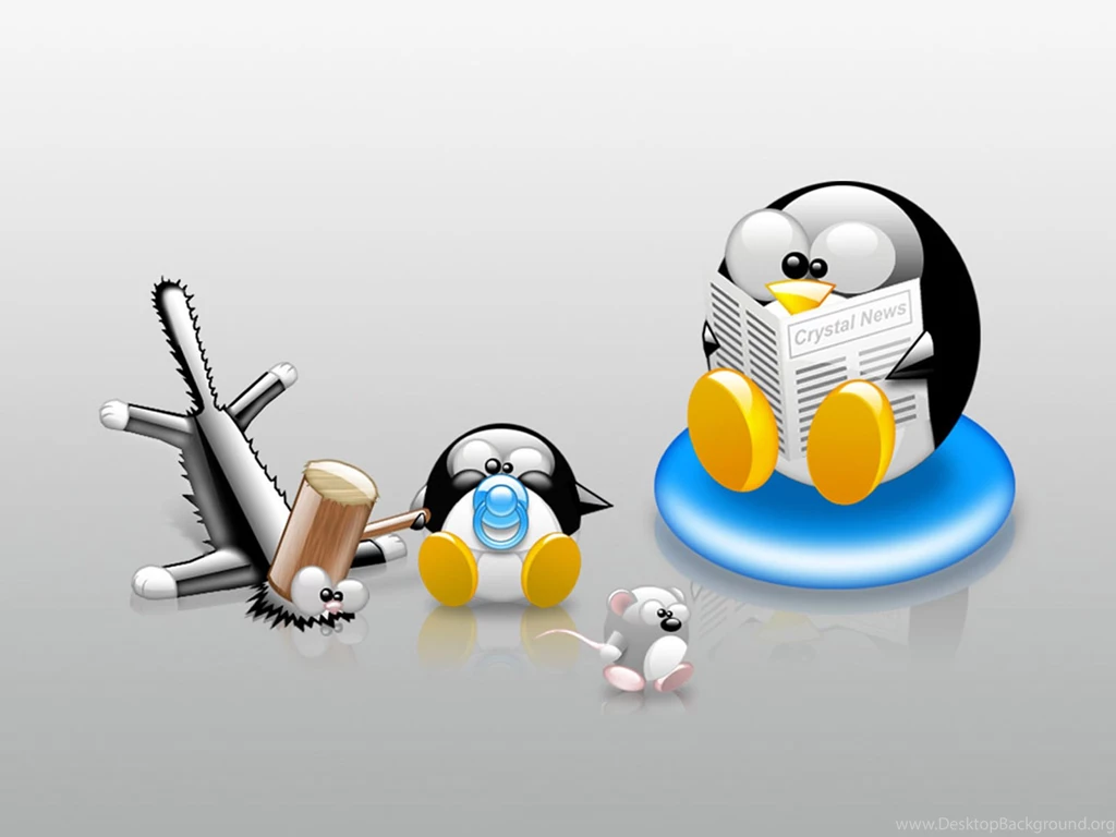 Funny Free Wallpapers (5)
