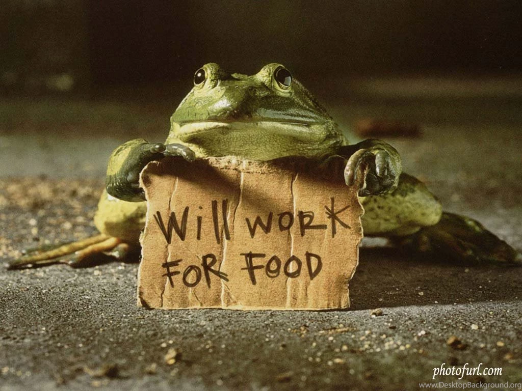 Funny Wallpapers Free