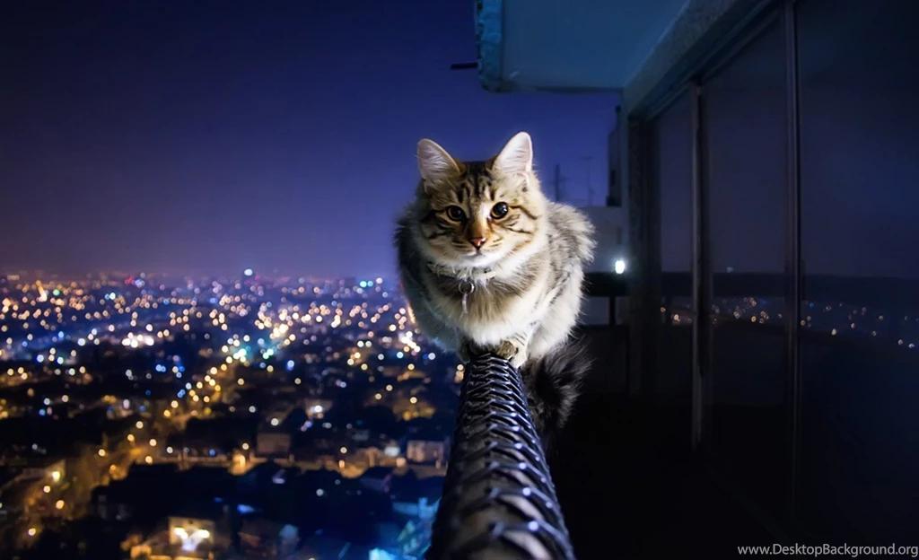 Best High Definition Wallpapers