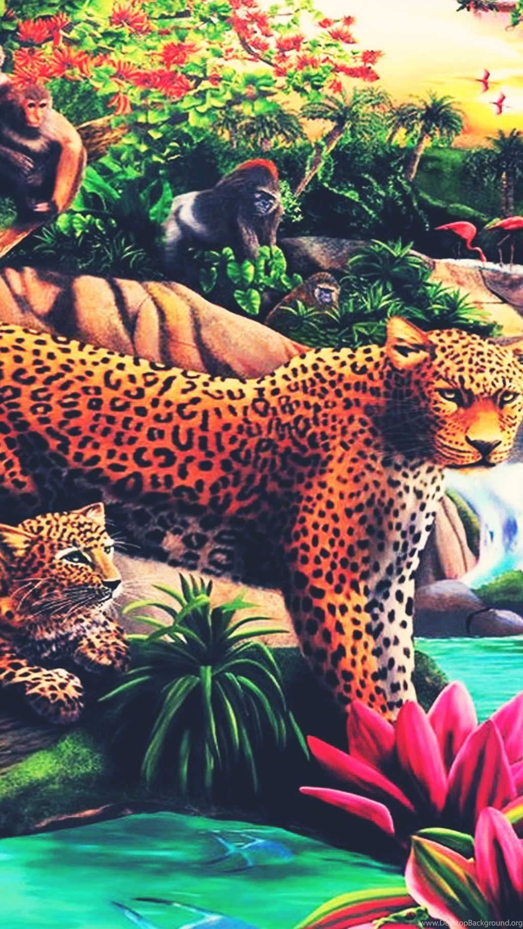 Colorful Leopard Africa Nature Android Wallpapers Free Download