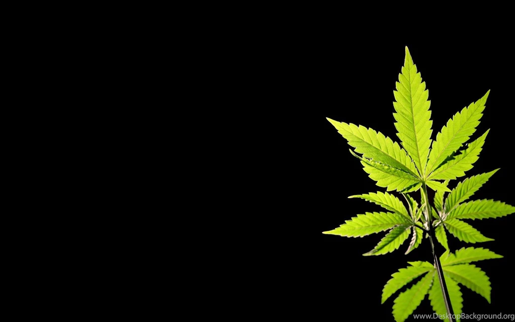 Weed Wallpapers Desktop Wallpapers Cave