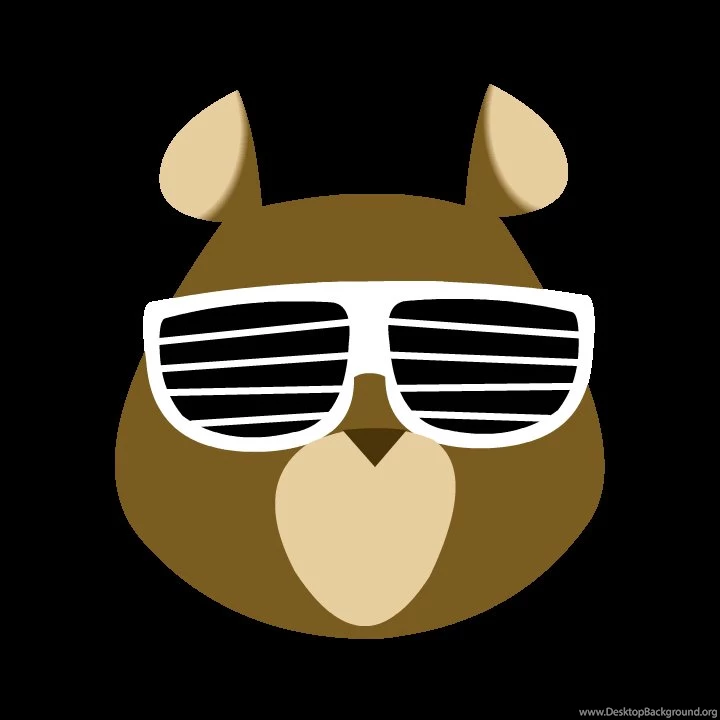 Dropout Bear Spin By Belaboy On DeviantArt