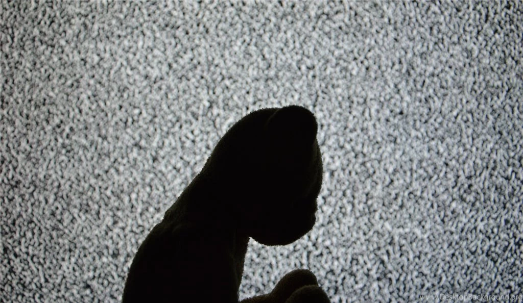 Dropout Bear By ThouWilt On DeviantArt