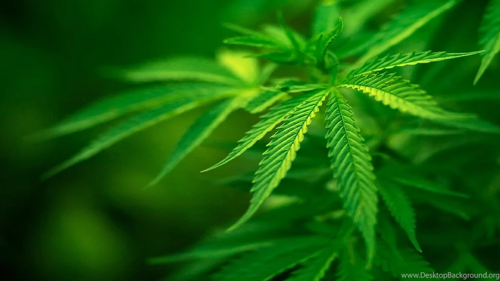 Weed Wallpapers Iphone