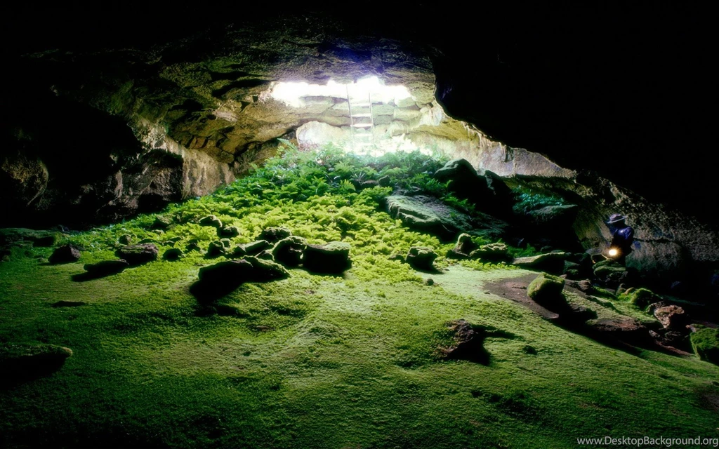 Cool Desktop Wallpapers 1680x1050 (591) Hebus.org High ...