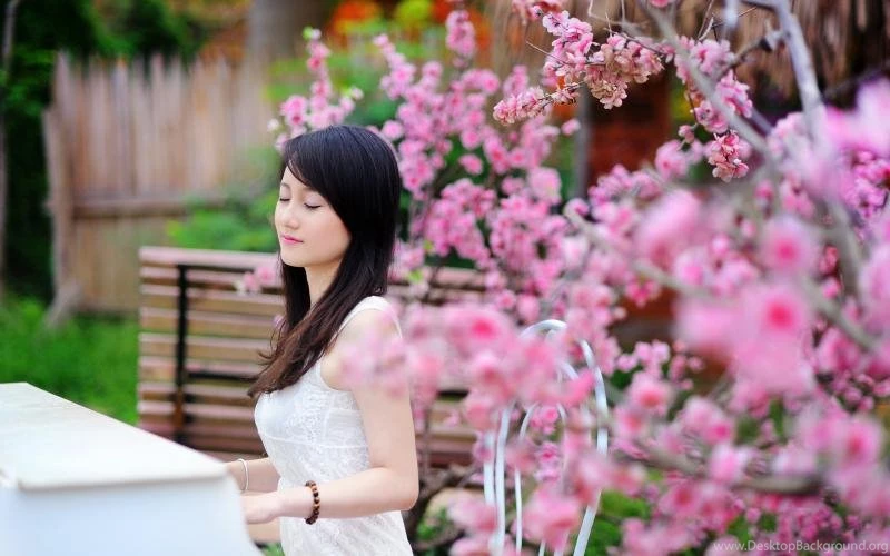 Asian Girl, Play Piano, Garden Flowers Wallpaper,Asian HD ...