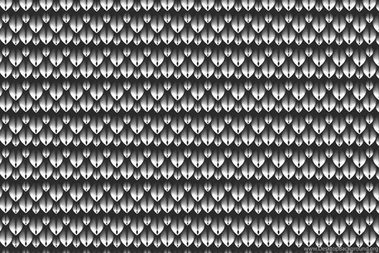 Buy Black And White Wallpapers Pattern And Black Wallpapers For Home ...