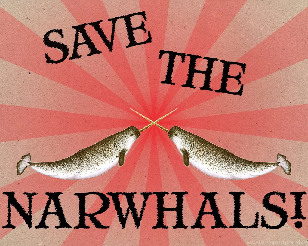 Durango Mom: Narwhal, Why Not?