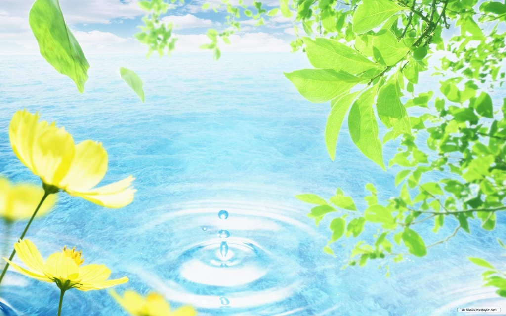 Environment, Urban, Naturaleza, Art, Environmental, 1920x1200 HD ...