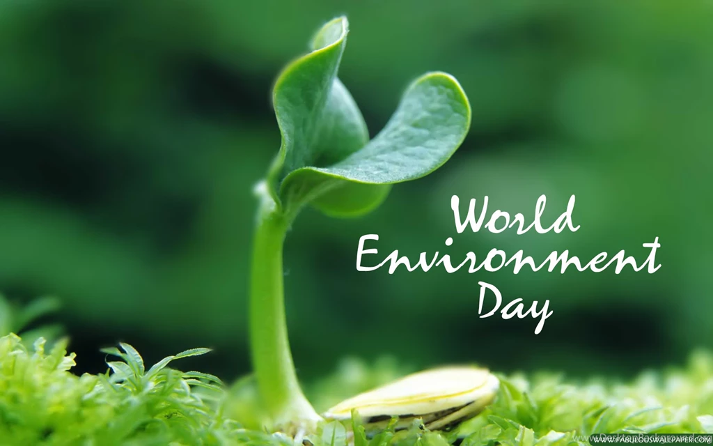 World Environment Day Wallpapers HD Download