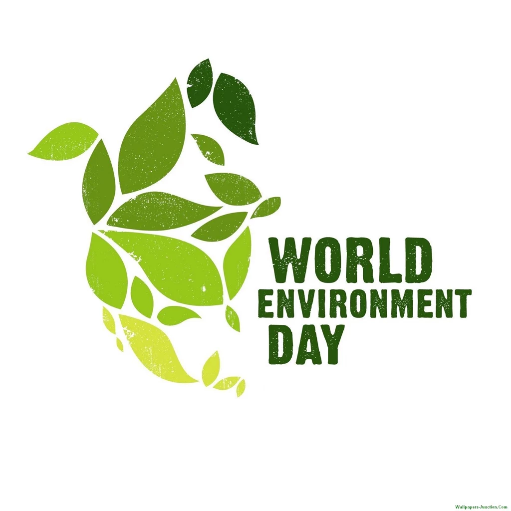 World Environment Day HD Wallpapers And Images 2014