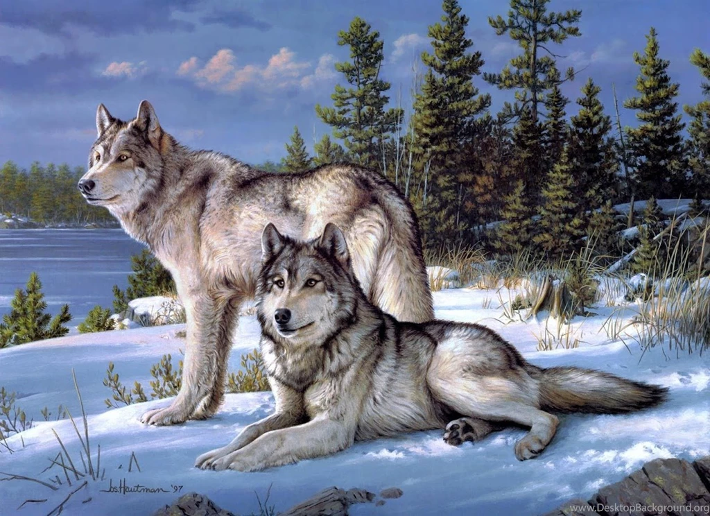 Wolf Wallpapers Android Apps On Google Play