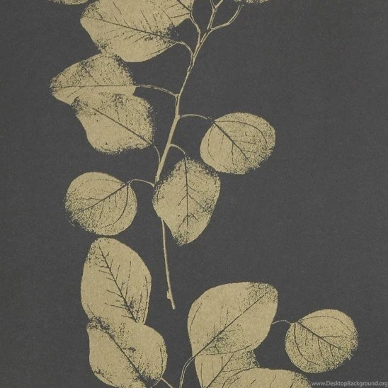 Spring / Summer 2011